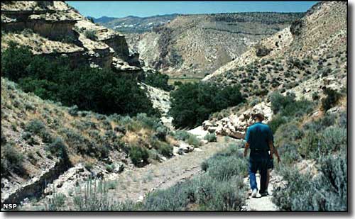 A trail up the hill from Kershaw-Ryan State Park