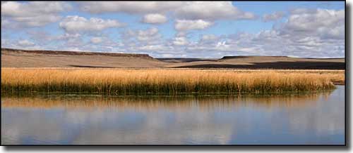 Virgin Valley ponds, Sheldon National Wildlife Refuge