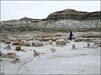 Bisti-DeNaZin Wilderness, New Mexico