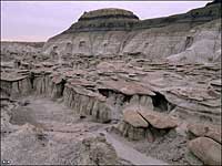 Bisti-DeNaZin Wilderness, New Mexico