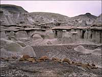 Bisti-DeNaZin Wilderness, New Mexico