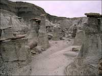 Bisti-DeNaZin Wilderness, New Mexico