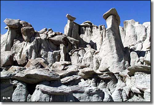 Bisti/De-Na-Zin Wilderness, New Mexico