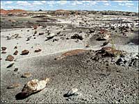 Bisti-DeNaZin Wilderness, New Mexico