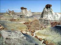 Bisti-DeNaZin Wilderness, New Mexico