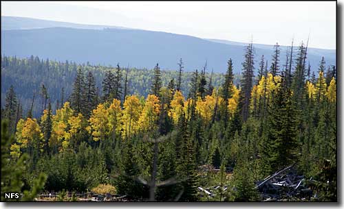 Red Cloud Loop, Ashley National Forest