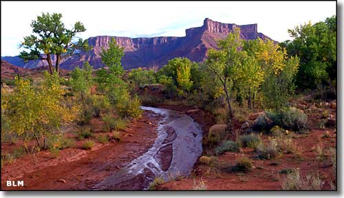 Mary Jane Canyon in Grand County