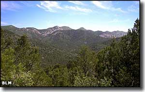 Cougar Canyon Wilderness