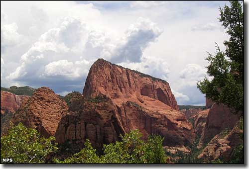 In the Kolob Canyons area