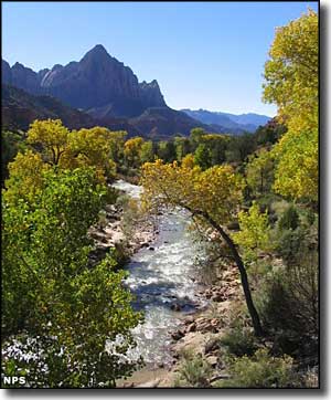 The Virgin River runs beside the Zion Park Scenic Byway