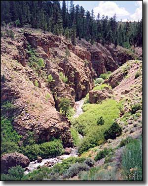 Panguitch Canyon Creek