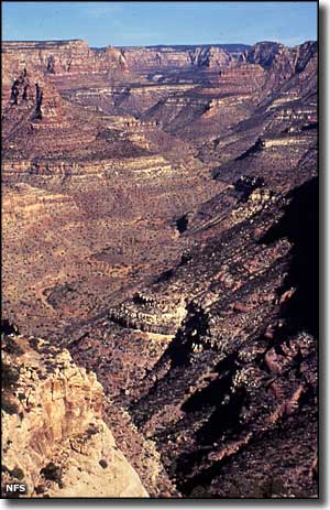 Dark Canyon Wilderness