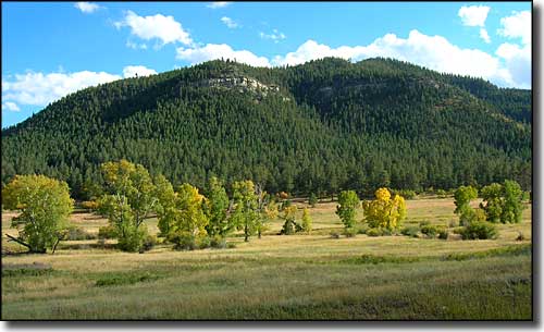 Lewis & Clark National Forest